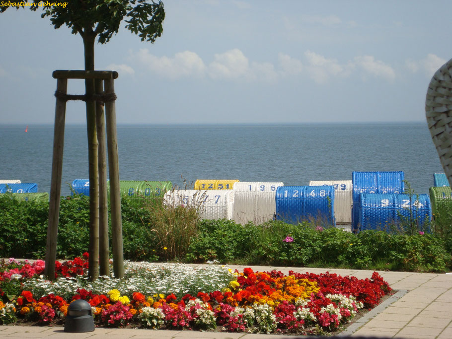 Insel Föhr