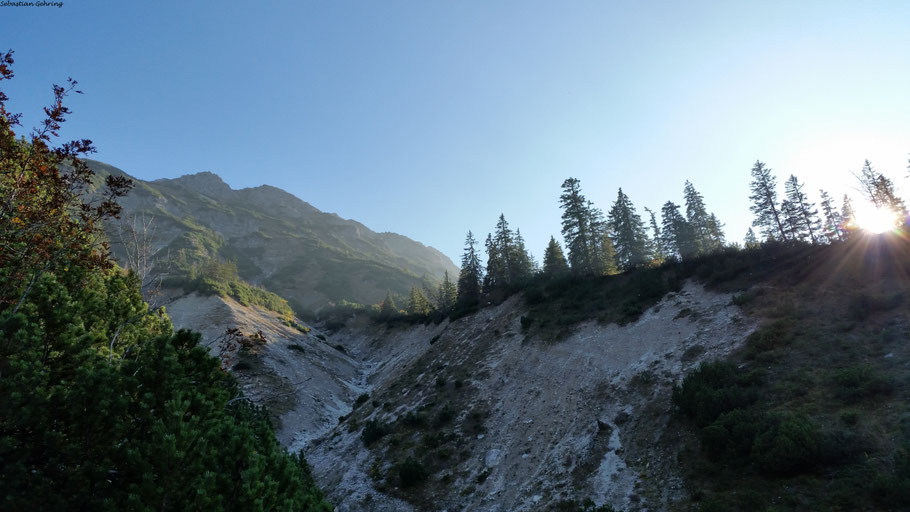 Blick zum Iseler