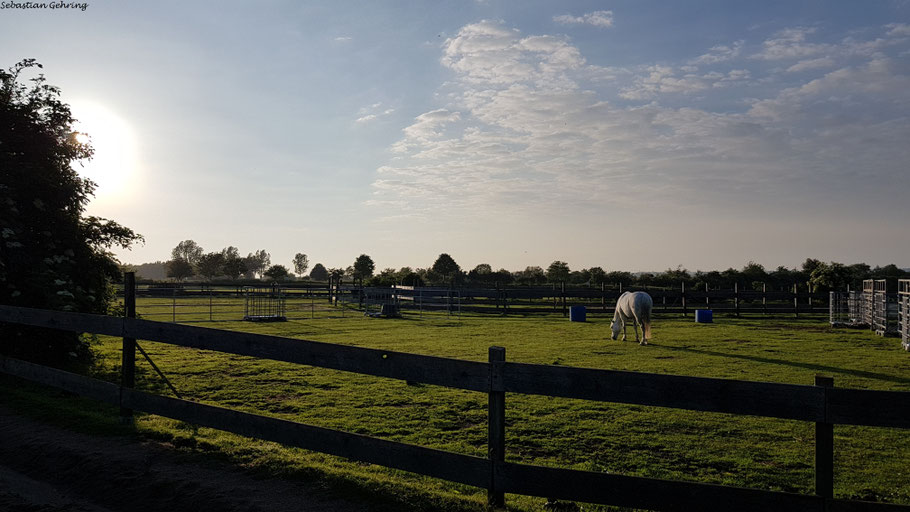Camping Wulfener Hals auf Fehmarn