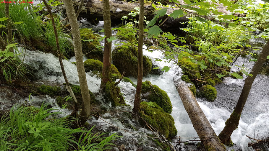 Nationalpark Plitvicer Seen
