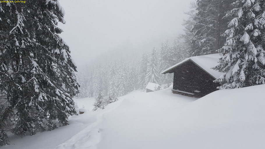 Boaleskopf/Tiefenbacher Eck
