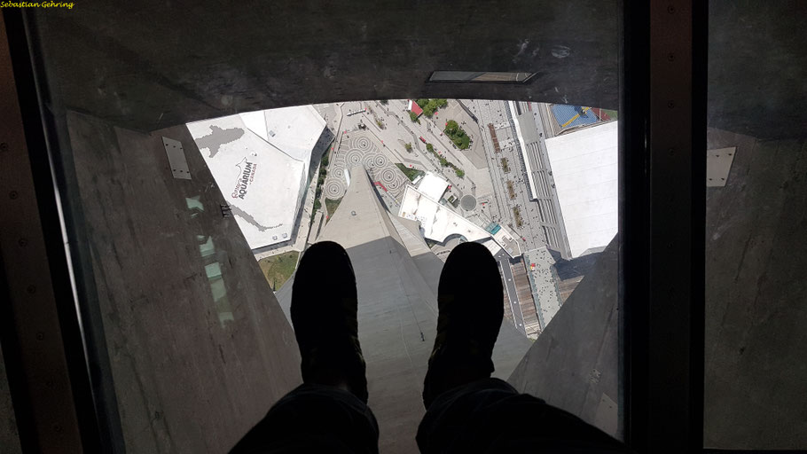 Toronto, CN Tower, 553m (Ontario)
