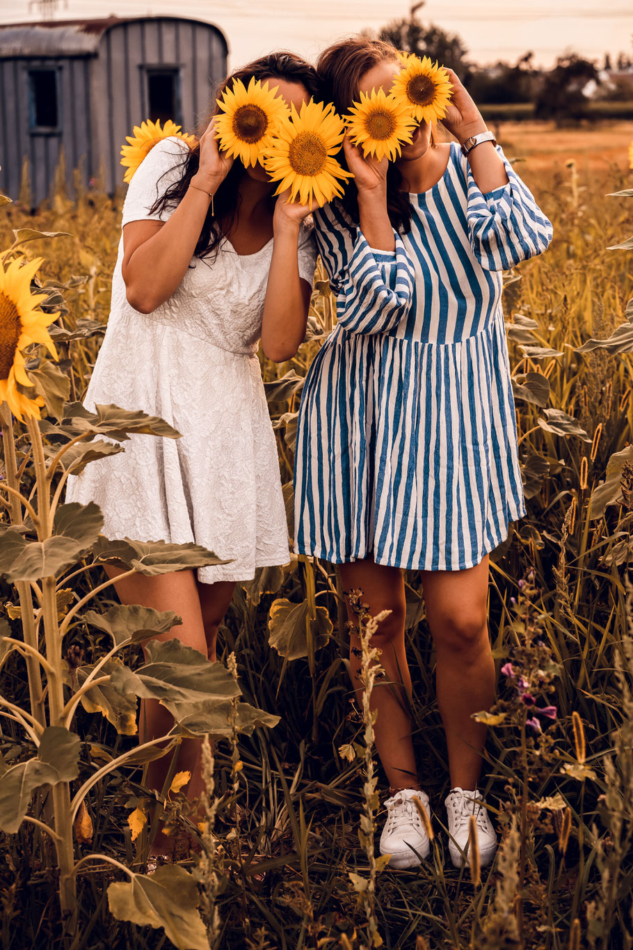 Guillemette & Jenny - Sonnenblumen zaubern einfach ein lächeln in´s Gesicht.