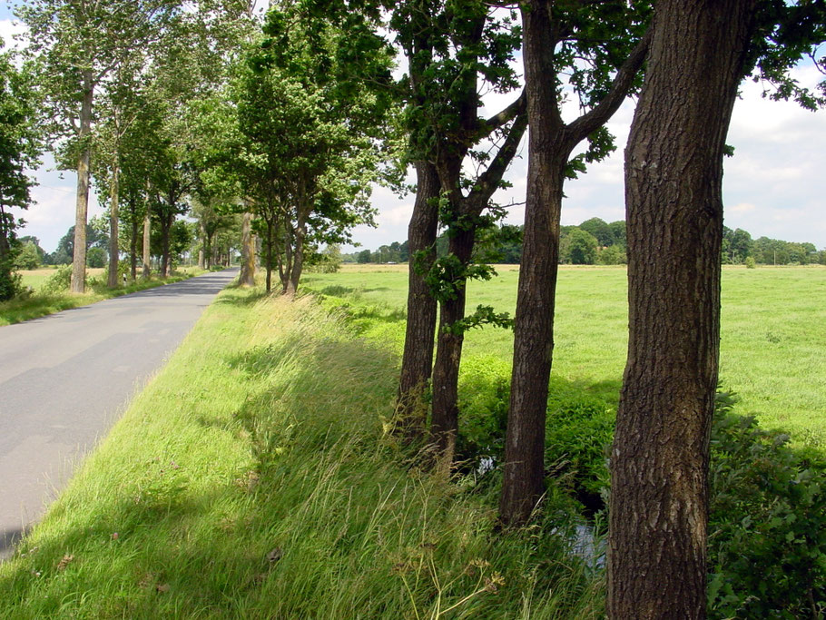 Bollenhagen