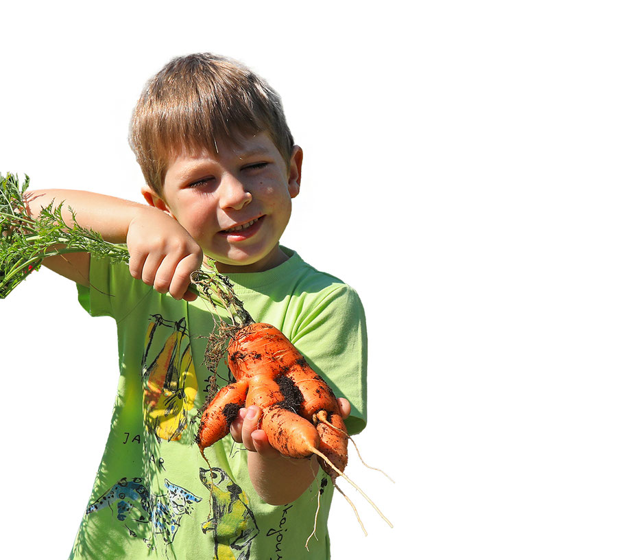 Alle Bilder: © Josef Pfleger