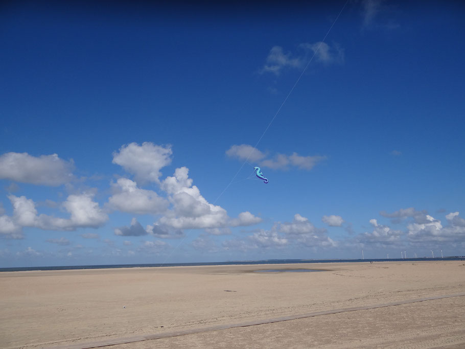 Nordseestrand mit Drachen