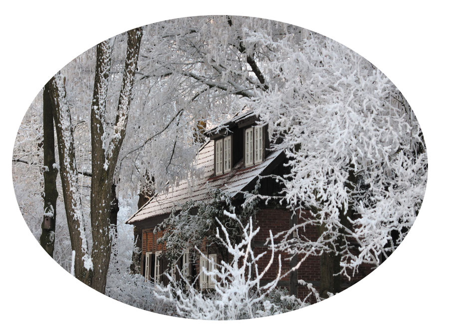 Foto "Haus im Winterwald" © Caroline Ronnefeldt