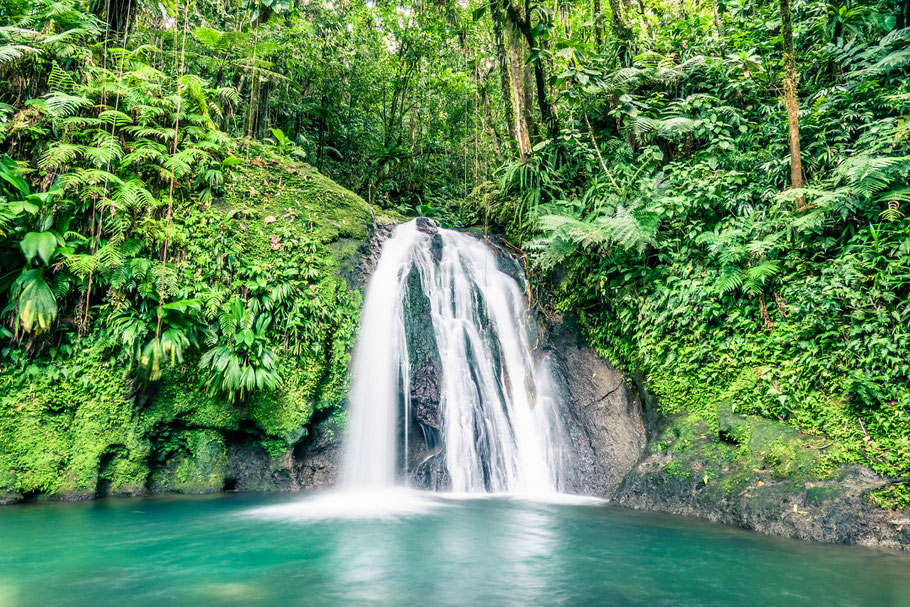 La cascade aux écrevisses - Gaudeloupe - Les plus belles cascades  de guadeloupe