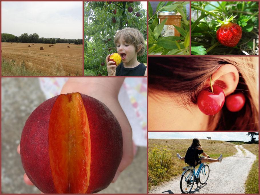 Des images souvenirs d'un bel été : champs de blé, fraise, pêche, ballade à vélo etc