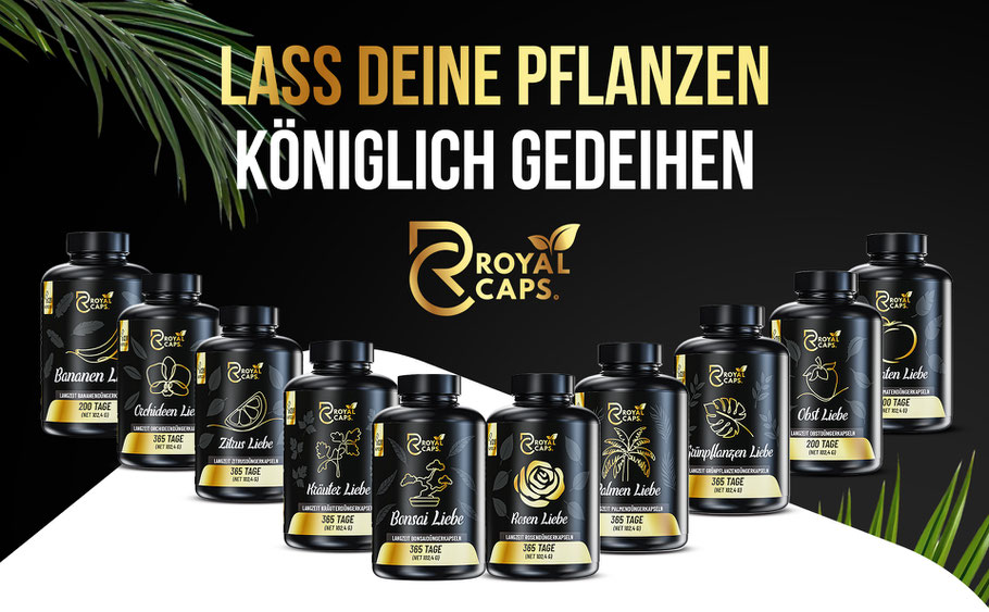 Bild was die Royal Caps Düngekapseln zeigt, es werden alle Sorten vorgestellt, Bananen, Orchideen, Zitrus, Kräuter, Bonsai, Rosen, Palmen, Grünpflanzen, Obst und Tomaten Liebe Düngerkapseln für Ihre Zierpflanzen.