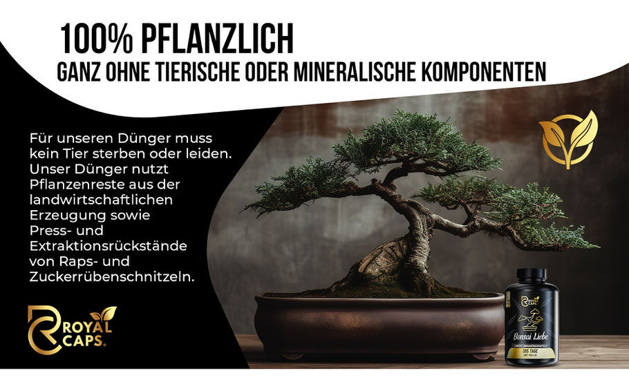 Bild was ein Bonsai zeigt und betont, das unser Royal Caps zu 100% pflanzlich sind. Für unsere Dünger musste kein Tier sterben oder leiden. Unsere Dünger enthalten nur natürliche Pflanzenreste.