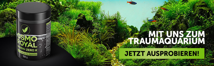 Bild zeigt ein Traumaquarium mit unserem Osmo Royal Salz und er Überschrift: Mit uns zum Traumaquarium, jetzt ausprobieren.
