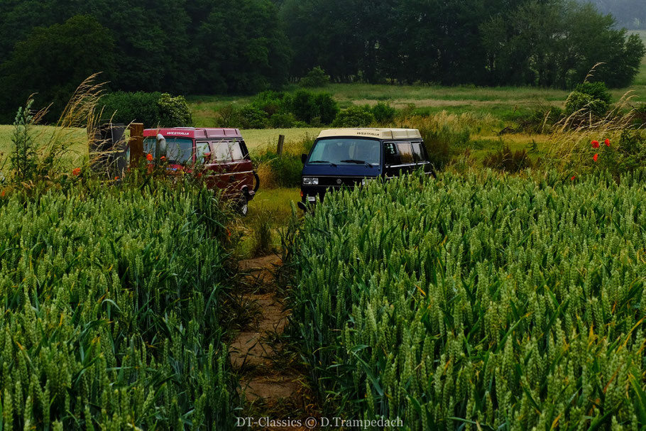 VW T3 CALIFORNIA + VW T3 WESTFALIA Club Joker.