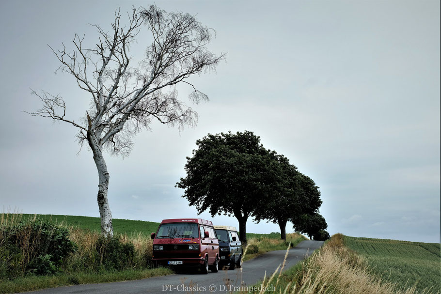 VW T3 WESTFALIA Club Joker + VW T3 CALIFORNIA auf der Insel Mön/DK.