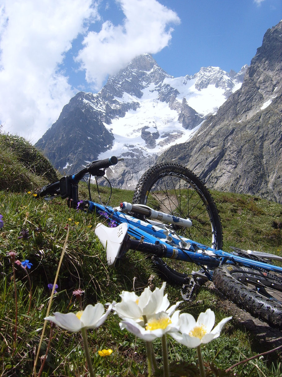 Panorami da sogno 