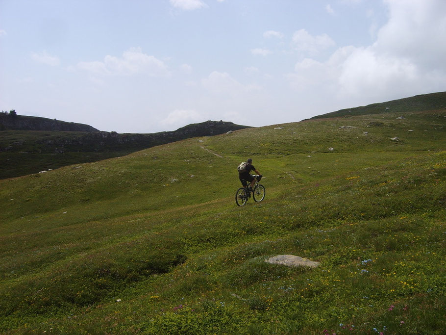 lasciamo la strada bianca e iniziamo l'arrampiacata verso la vetta passando per pratoni 
