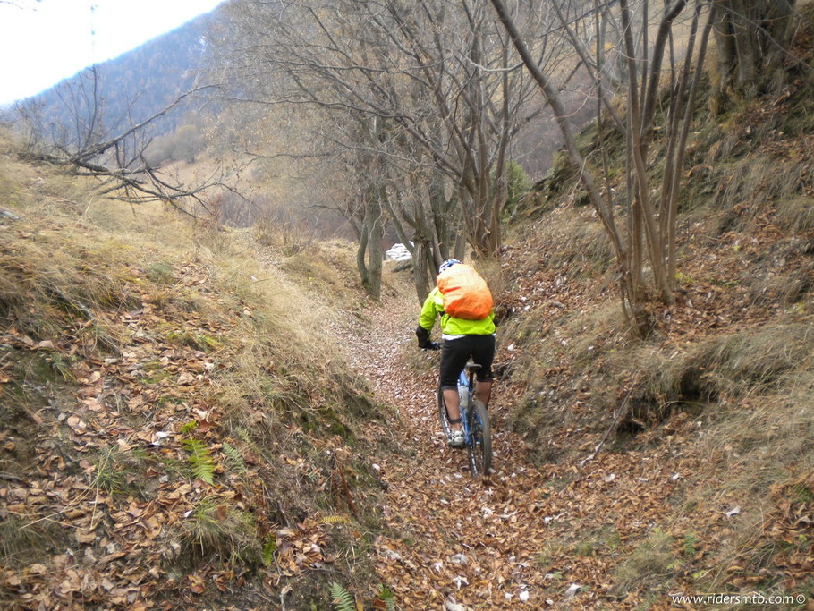 il sentiero è vario...c'è di tutto dal tecnico al guidato veloce.... 