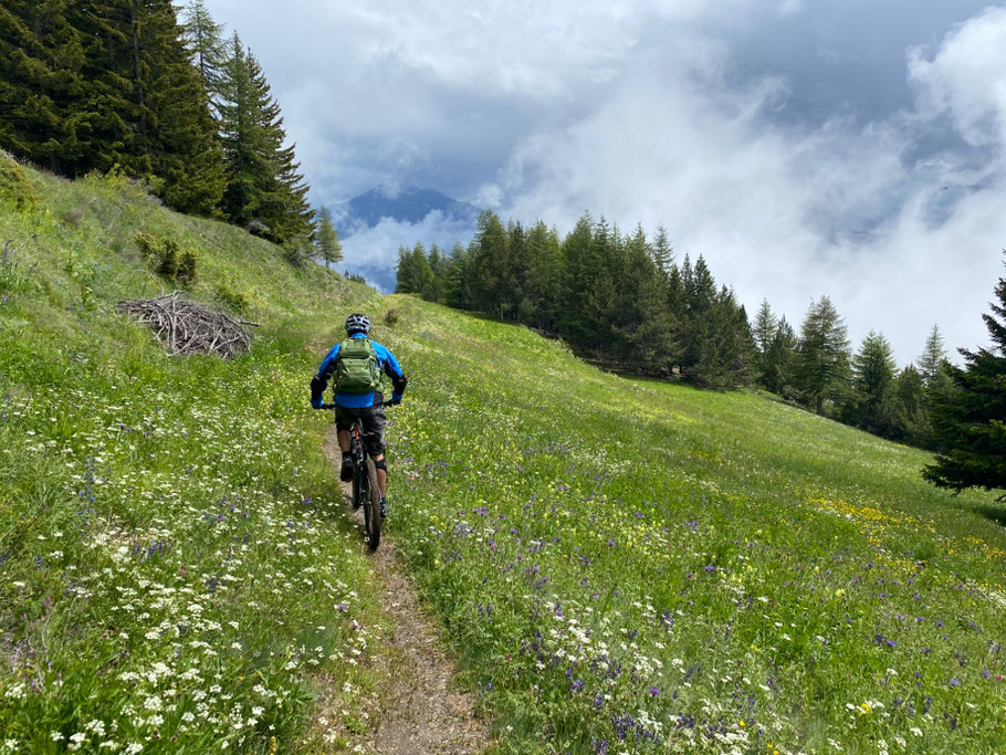 da qui avremmo dovuto vedere il massiccio del GRAN PARADISO....... sarà per l prossima