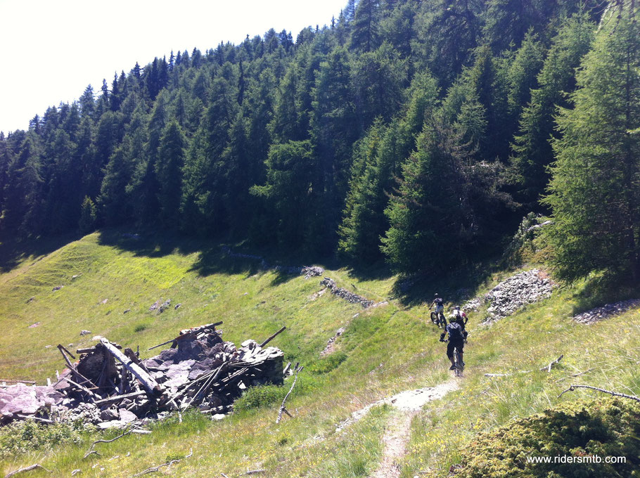 Si entra nel bosco su gradevole sentiero 