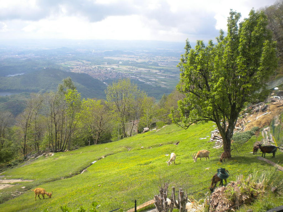 Da Andrate il paesaggio si apre... 