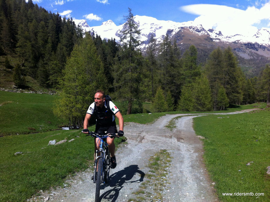 usciti dal bosco, la Valle ed i suoi ghiacciai si mostrano in tutta la loro bellezza...