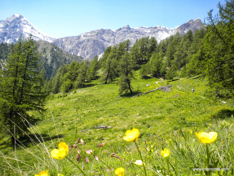 Il sentiero si snoda per alcuni chilometri fino al Lago