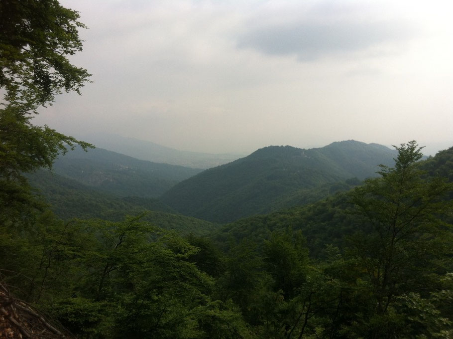 Siamo nel bel mezzo del Parco Naturale del Freidour......recintati dal verde 