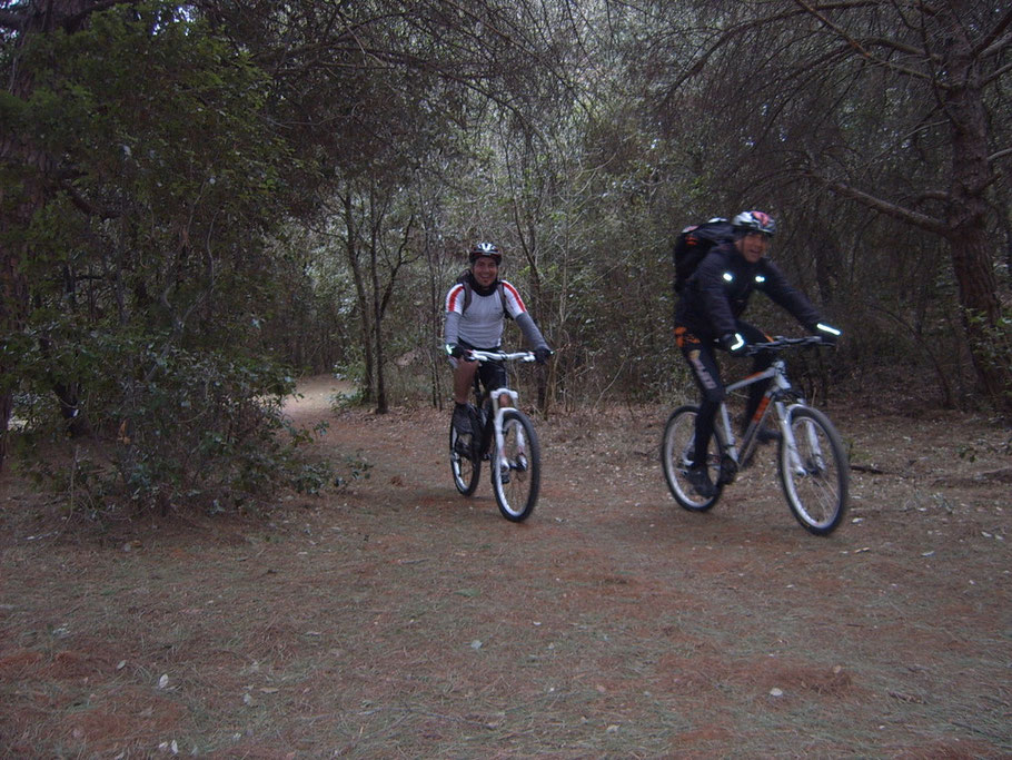 si entra nel sentiero maestro, luogo di partenza di molti itinerari per MTB 