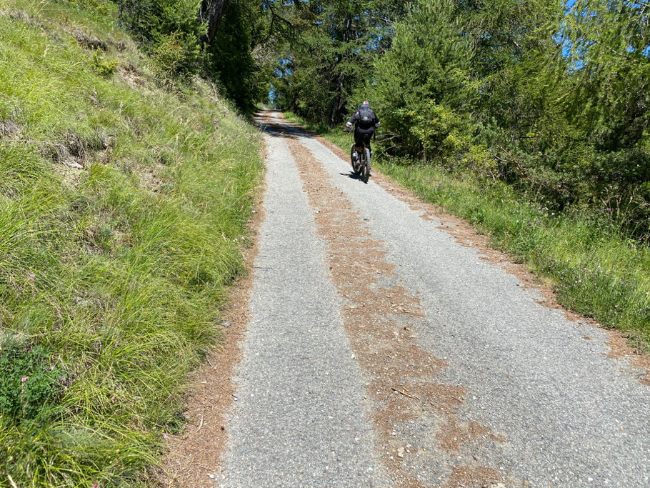 terminata la spettacolare cresta, si incrocia la strada asfaltata che sale da PROMIOD, da qui ci appioppiamo ulteriori 300 metri di dsl in salita per agganciare un'altro sentiero spettacolare che unito al crestino rimarrà una discesa storica!!