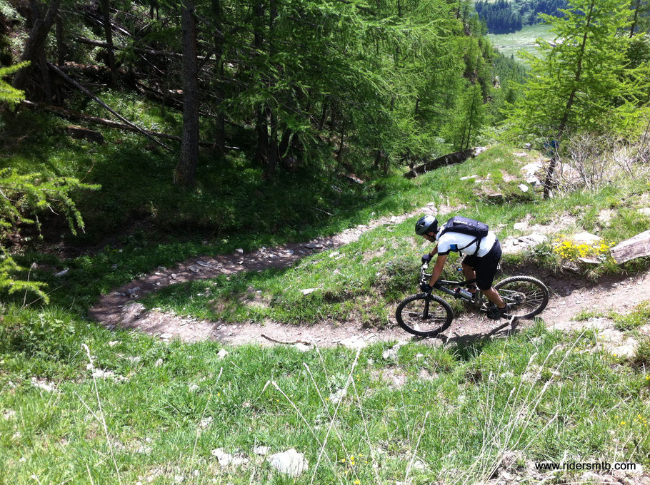 i molti tornantini contribuiscono al divertimento