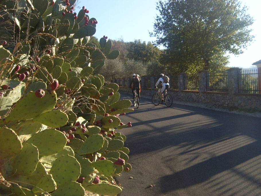 stranamente le temperature sono primaverili, 16 gradi, inoltre soffia un forte vento di Fohn...chiaramente contro!!