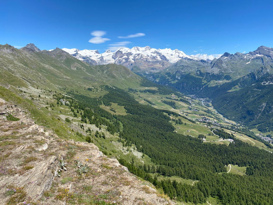 raggiunto il colle Portola -con non poca fatica - si apre il panorama sulla Val D'Ayas ed il gruppo del Monte Rosa.......... superlativo!!
