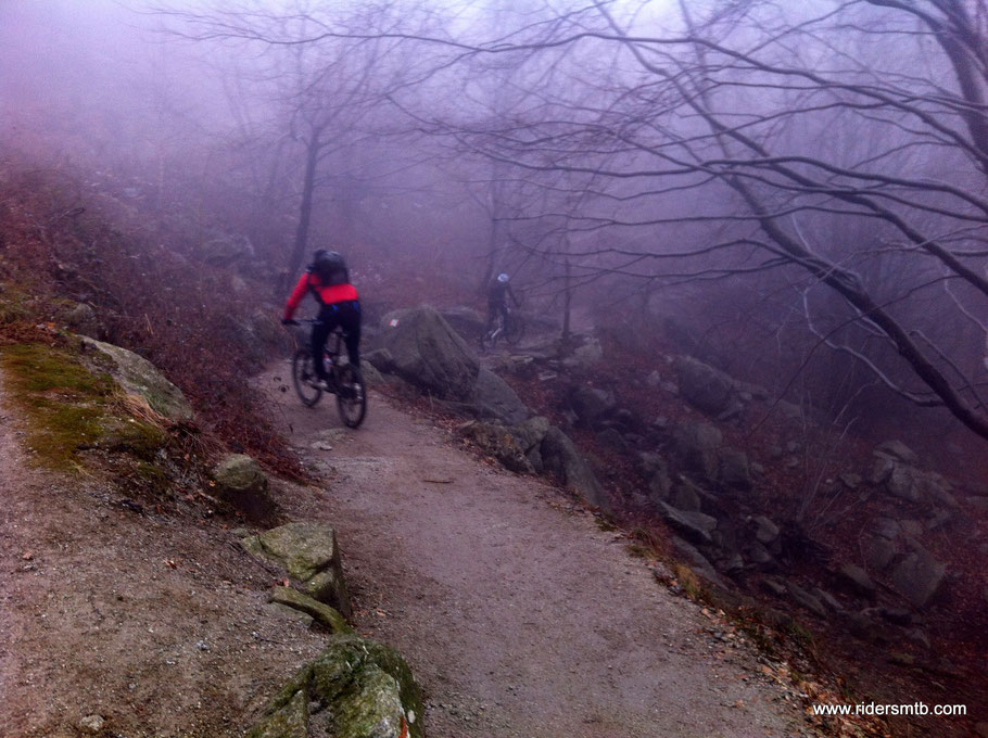 imbocchiamo il breve single track  che, con un saliscendi impegnativo, ci catapulta al Rifugio