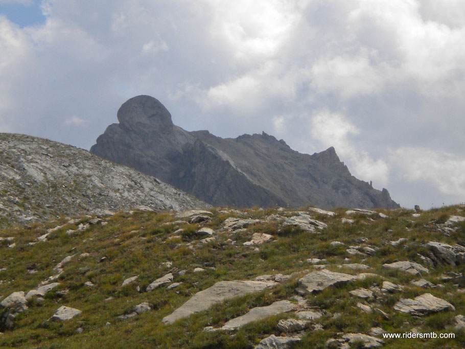 strane cime da queste parti