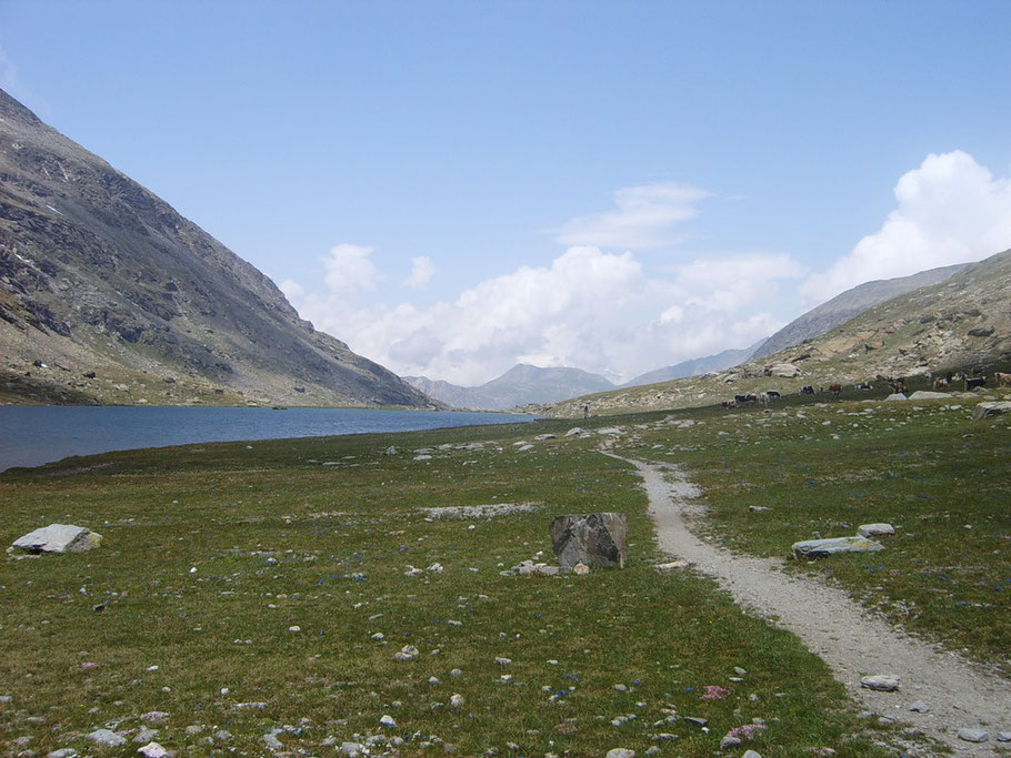 Dense e fosche si addensano nubi sulle nostre capocce. Per non prendere acqua decidiamo di correre più delle nuvole ( si fa per dire ) sulla via del ritorno.