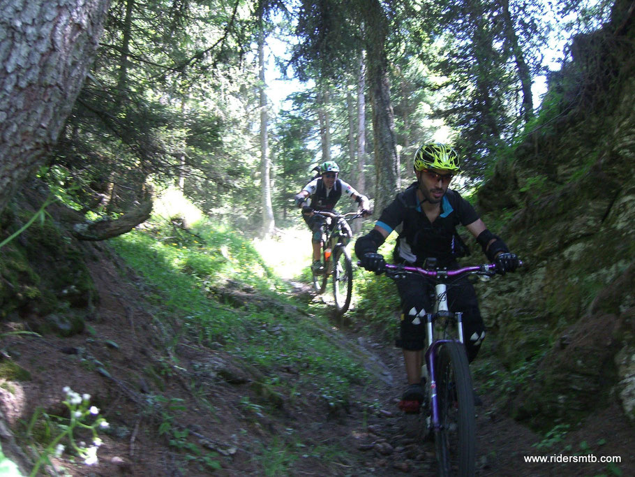 nel bosco ci divertiamo come bimbi