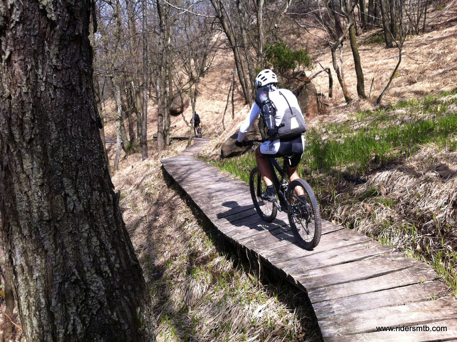 entriamo nel parco naturalistico - LE SABBIONERE- ottimamente attrezzato con passerelle 