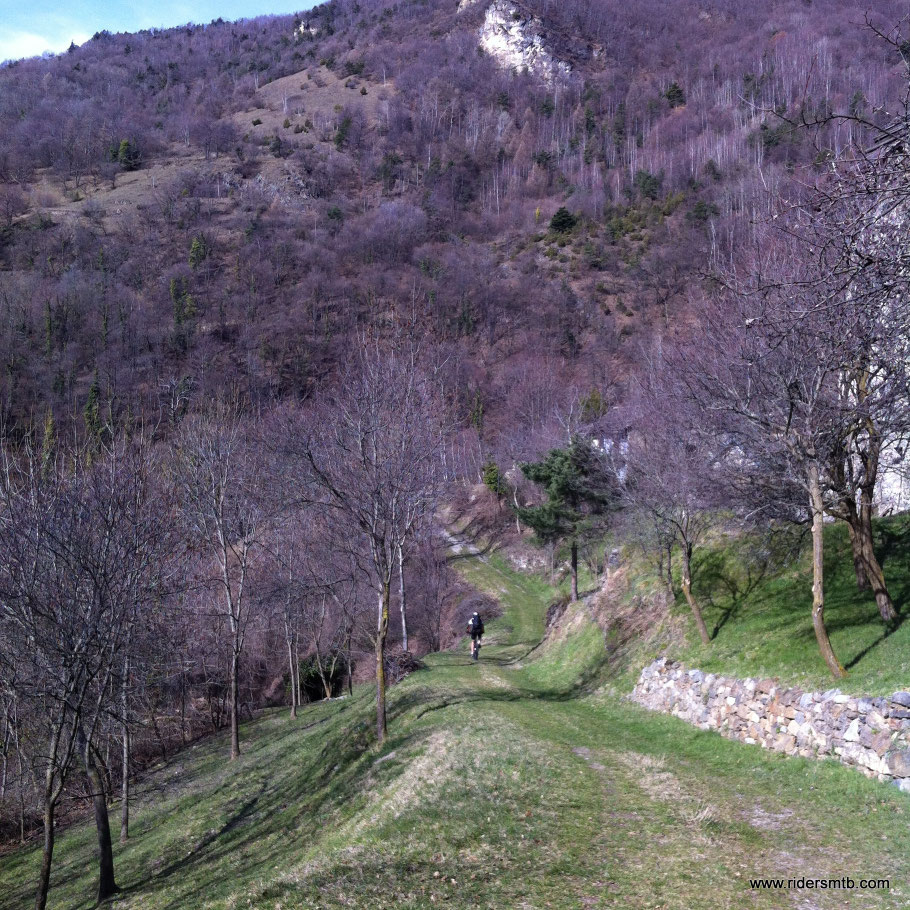 finalmente sbocciano i colori primaverili..