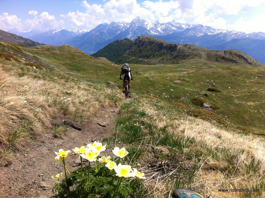 passiamo alle pendici del Beccafrance....bellissimo giro effettuato nel 2012