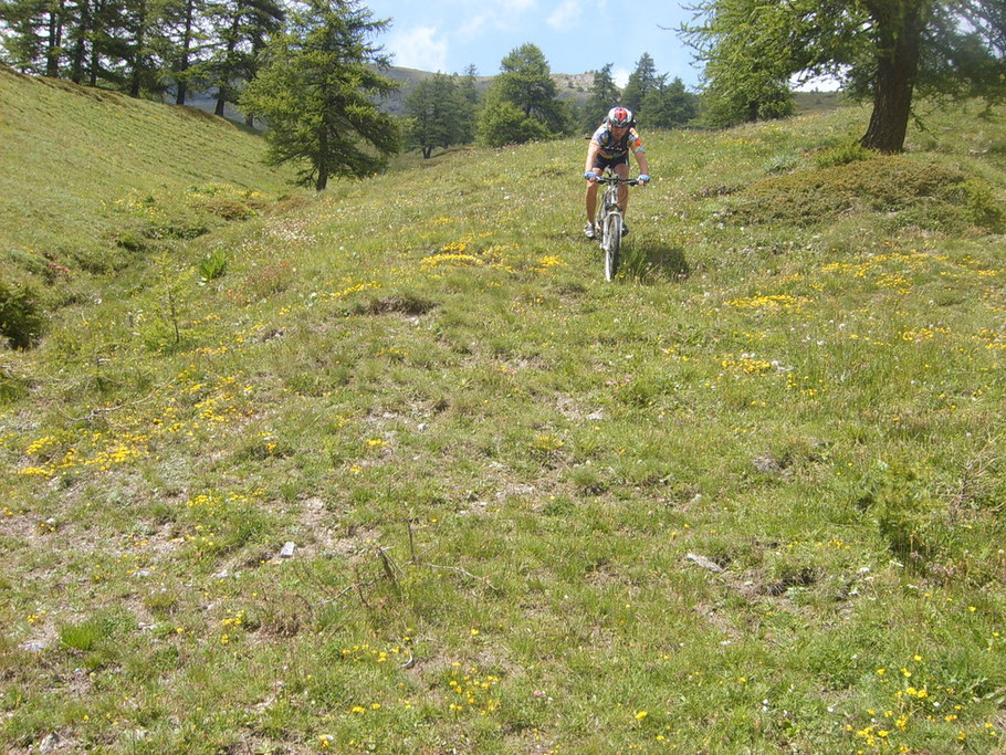 Lasciamo la comoda carrozzabile per infilare un single track che ci stuzzica , Enzo dice che ci faremo male, ma un pò di ottimismo non guasta mai……." Enzo guarda come scendo, Enzo vedi che ho migliorato, Enzo vedi" e………. patapuffeteeee!! 