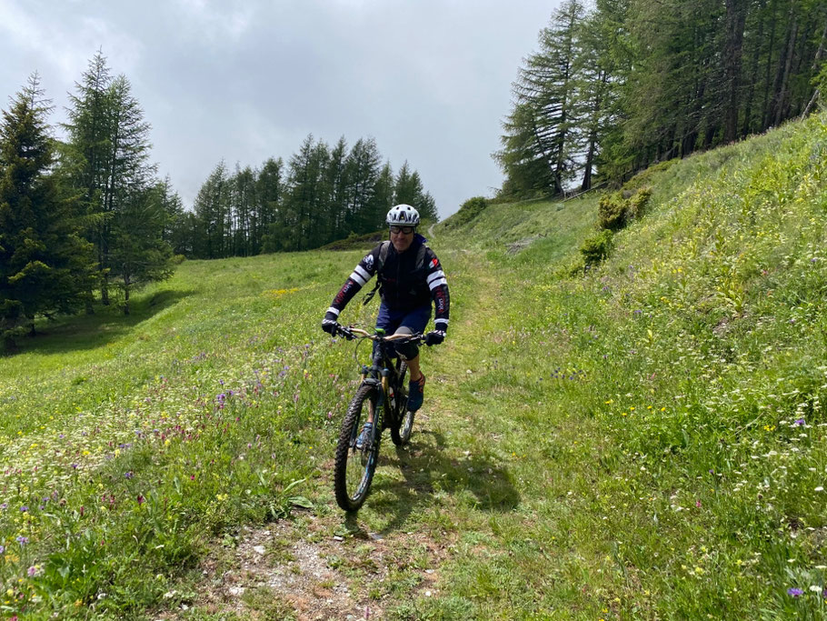 usciamo dal bosco ed entriamo in praterie bucoliche