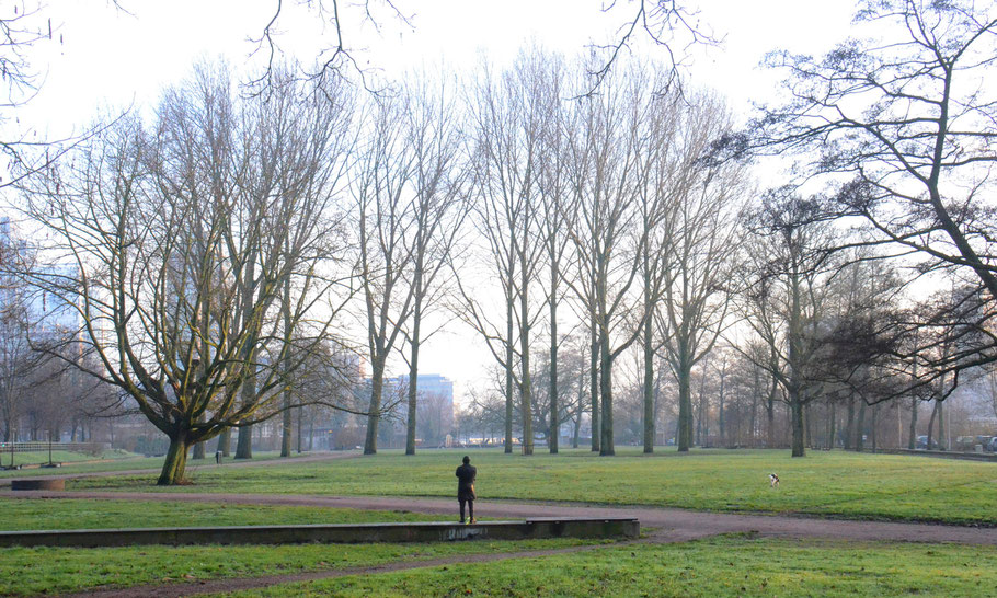 Martin Luther King Park, the 120cm/4ft bronze statue, placed on January 15, 2020, Dr. King's 91st birthday 