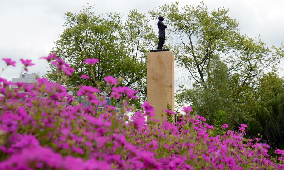 June 2018: Flowers in Martin Luther King Park