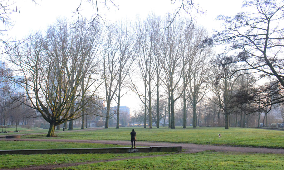 The bronze statue overlooking the Martin Luther King Park, January 16, 2020