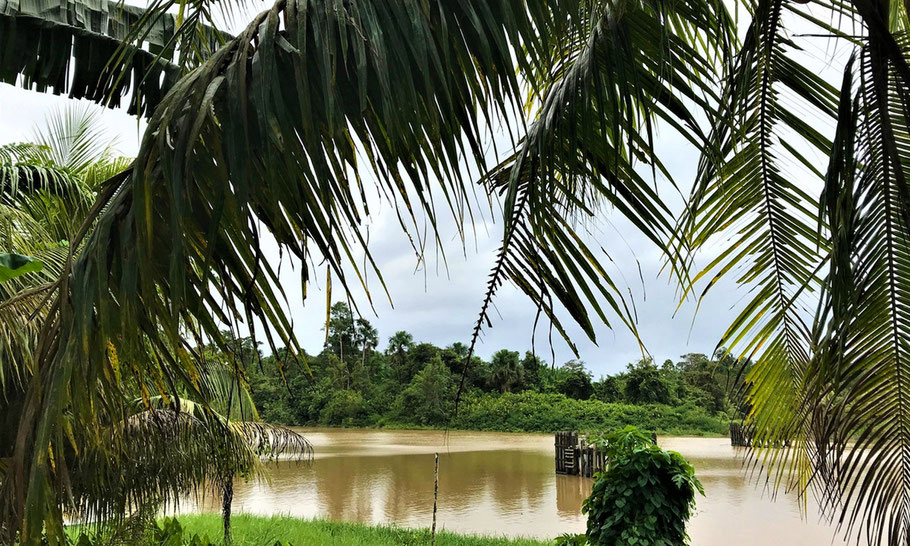 Commewijne river at Potribo in Surinam, one of the plantations where the Van Loon family invested in. (image Museum van Loon)