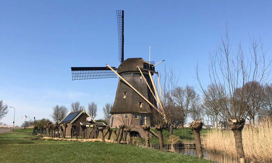 Windmill the Swan (1638) at Amstel River