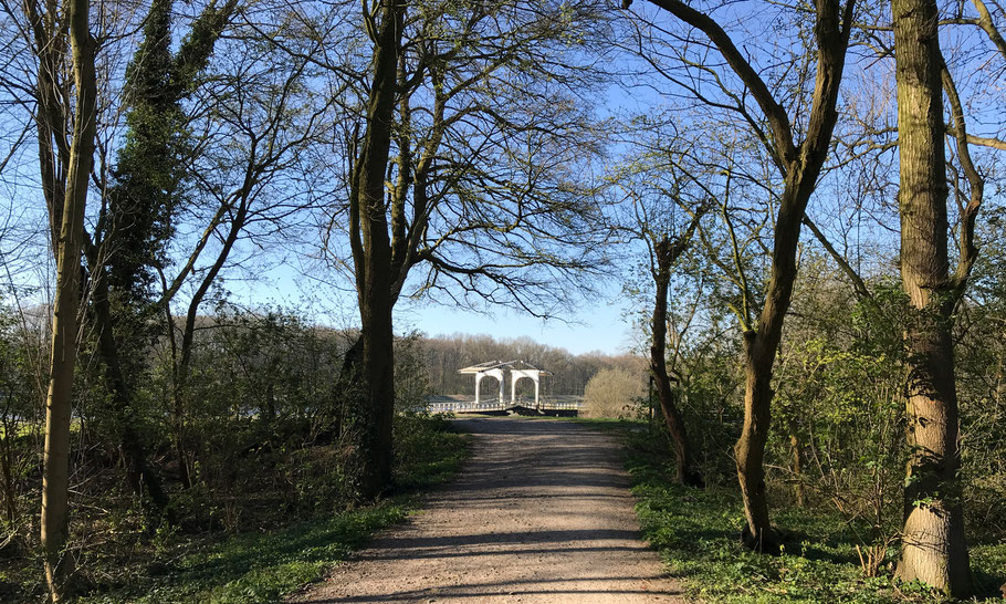 Amsterdamse Bos: in the summer season watch out for oak processionary caterpillars