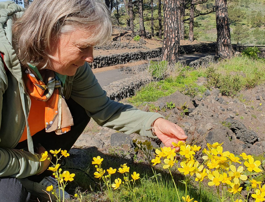 eine-Frau-kniet-im-wald-und-schaut-eine-gelbe-blüte-an