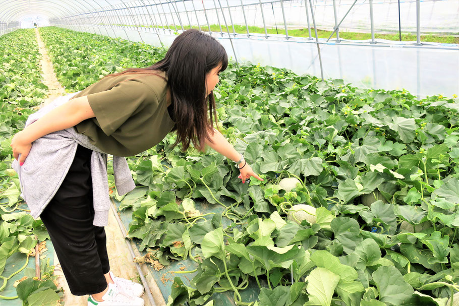 栗山町地域おこし協力隊