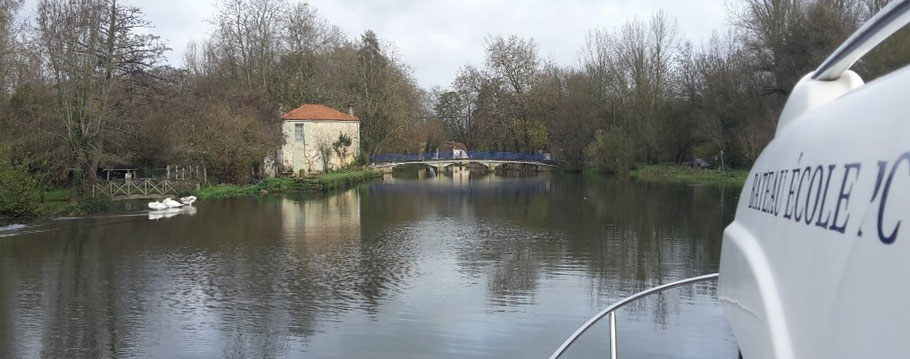 ile de ré la rochelle niort location sport nautique bouée tractée wake ski nautique semi rigide bombard permis bateau bordeaux permis bateau prix permis bateau la rochelle permis bateau royan permis bateau fluvial permis bateau cotier permis hauturier